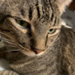 Meet your Posher, Kara